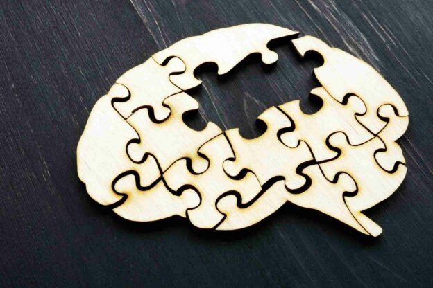 A puzzle piece in shape of a brain