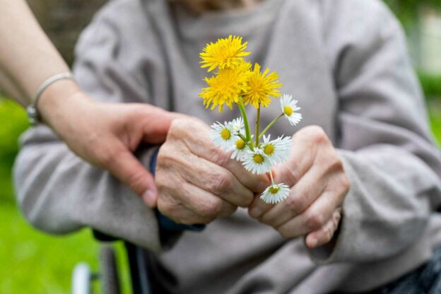 A person holding flowers in their hands