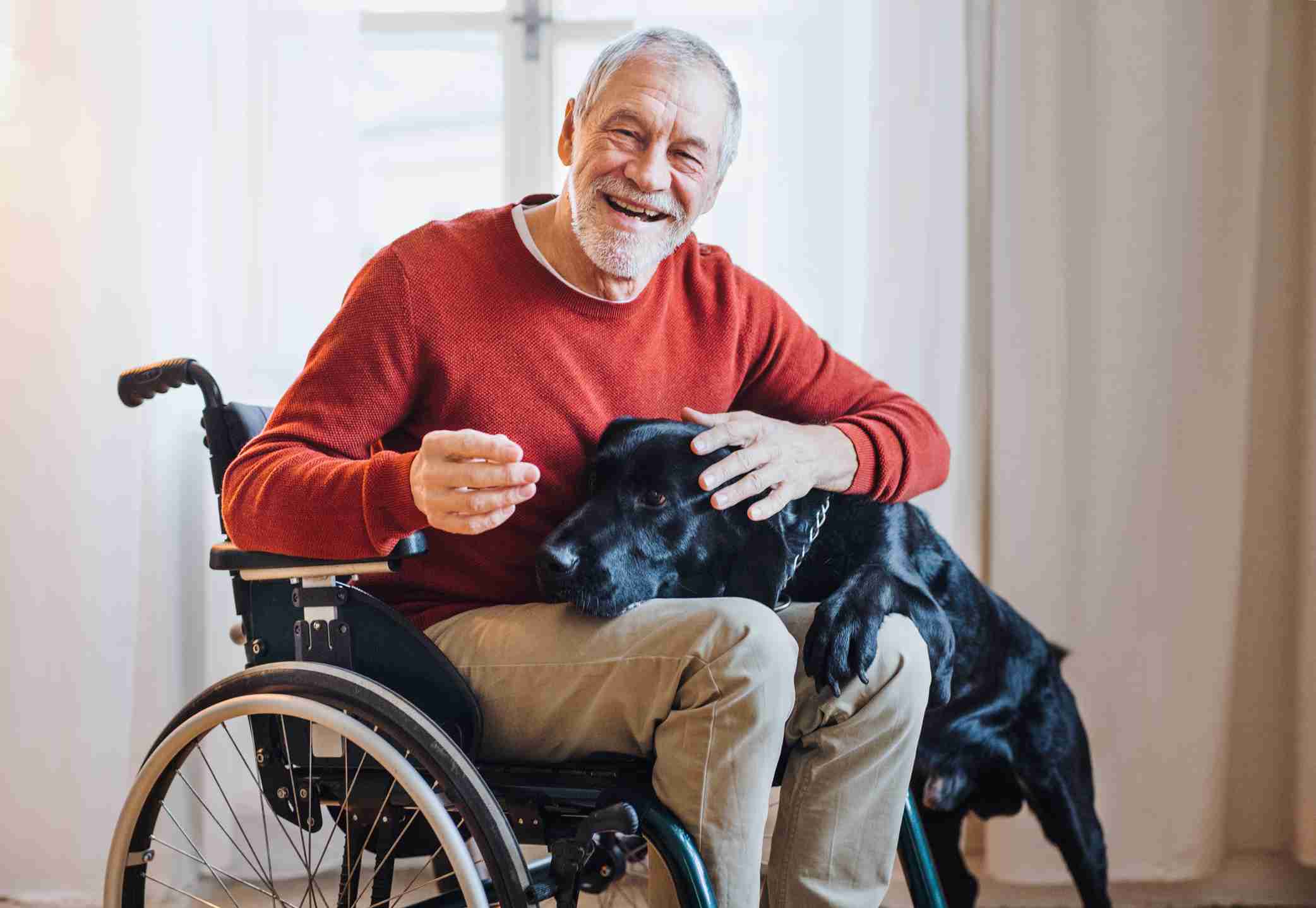 A person in a wheelchair with a dog