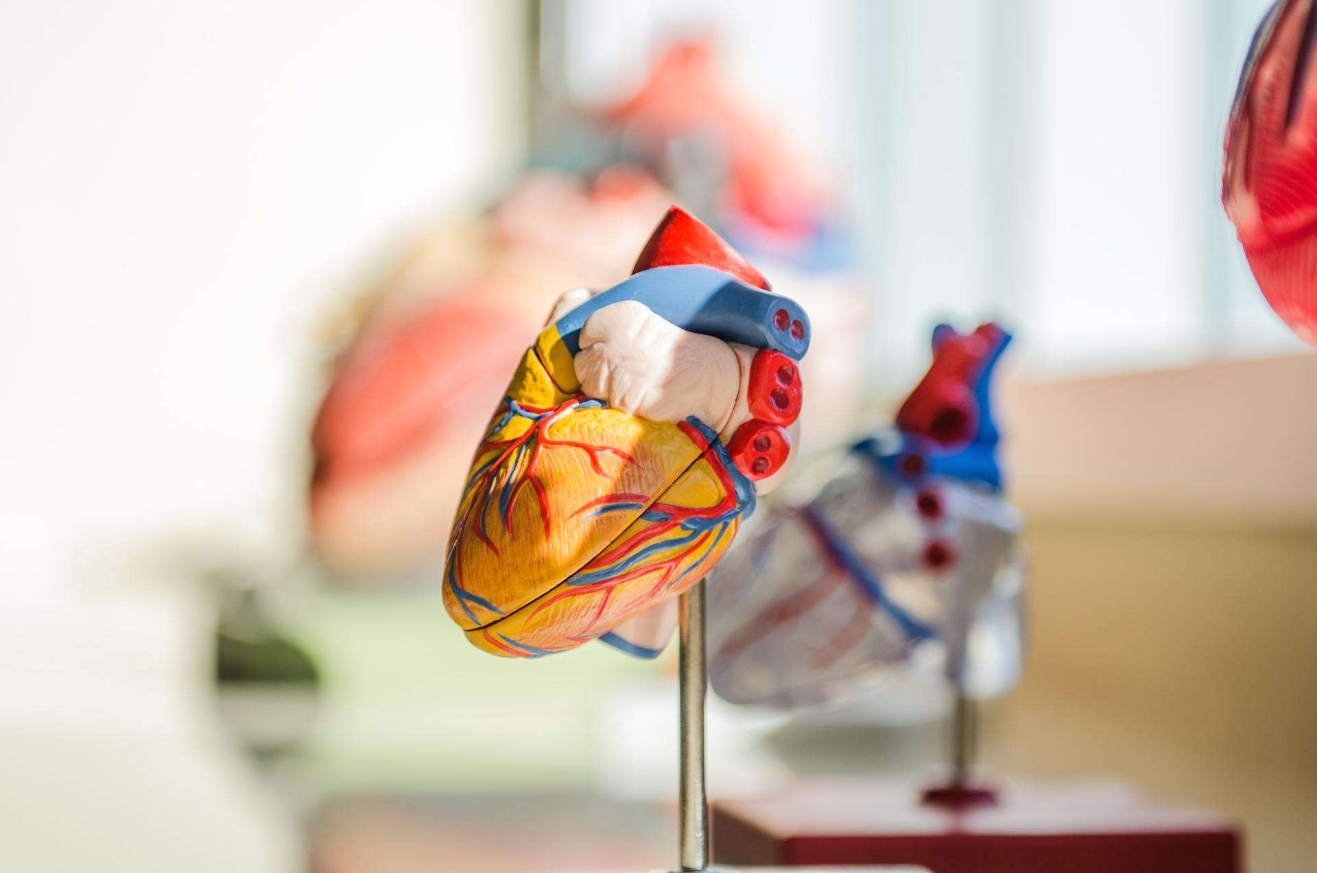 How can cancer treatment affect your heart?