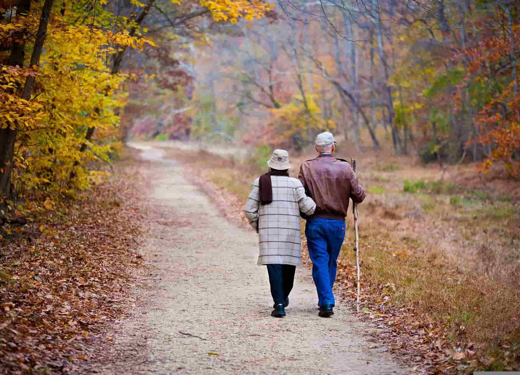 Preventing slips, trips and falls for the elderly