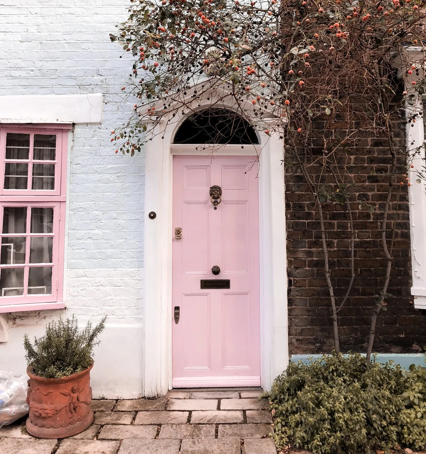 Pink front door with a tree above