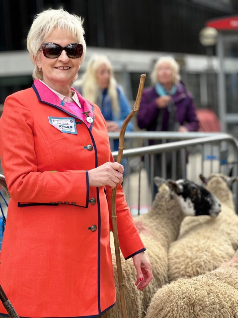 Woman in red jacket with sheep