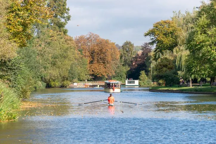 Rower on the River Thames in green surroundings