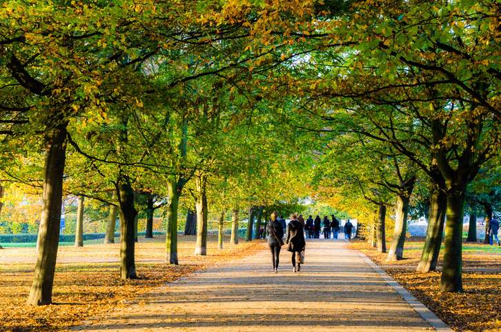 London park in Autumn