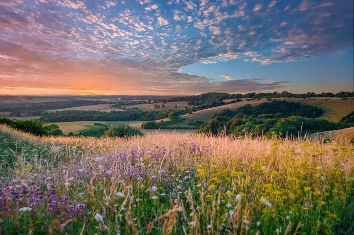 Countryside scene at sunset
