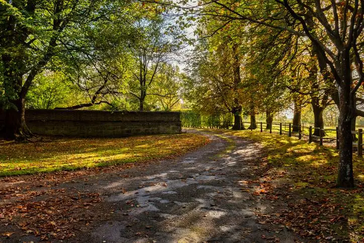 Park setting with path and autumnal trees