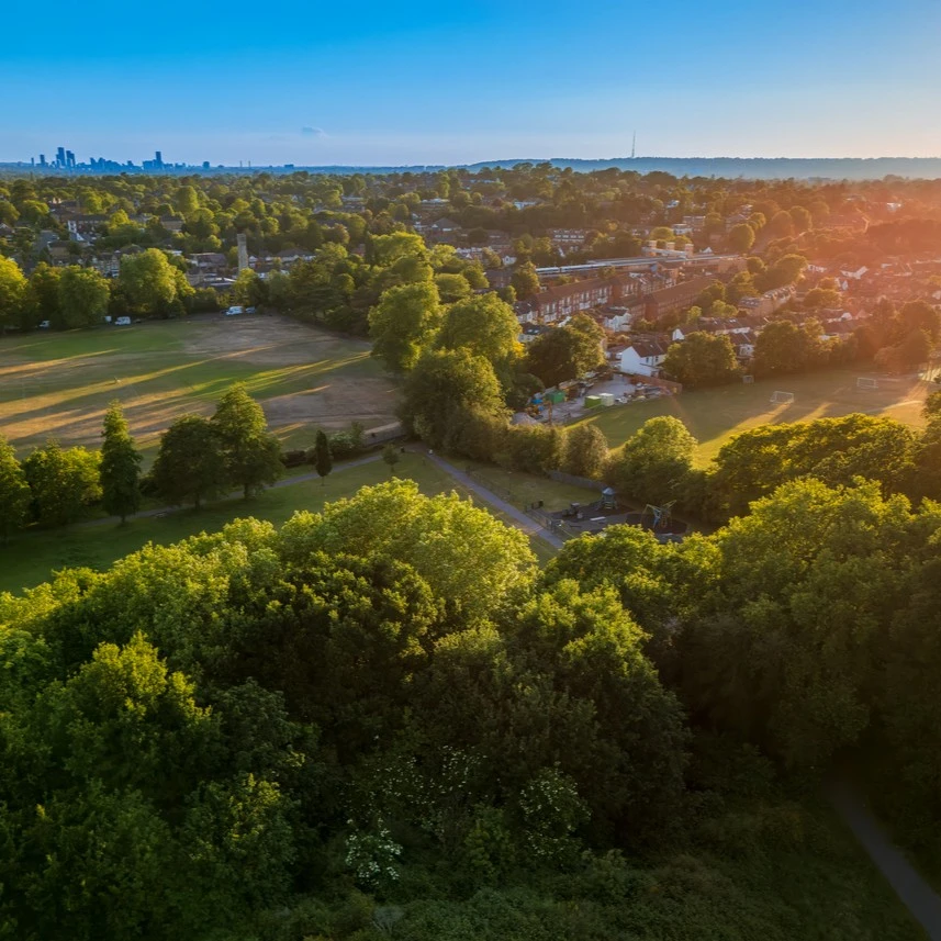Green park with a town nearby